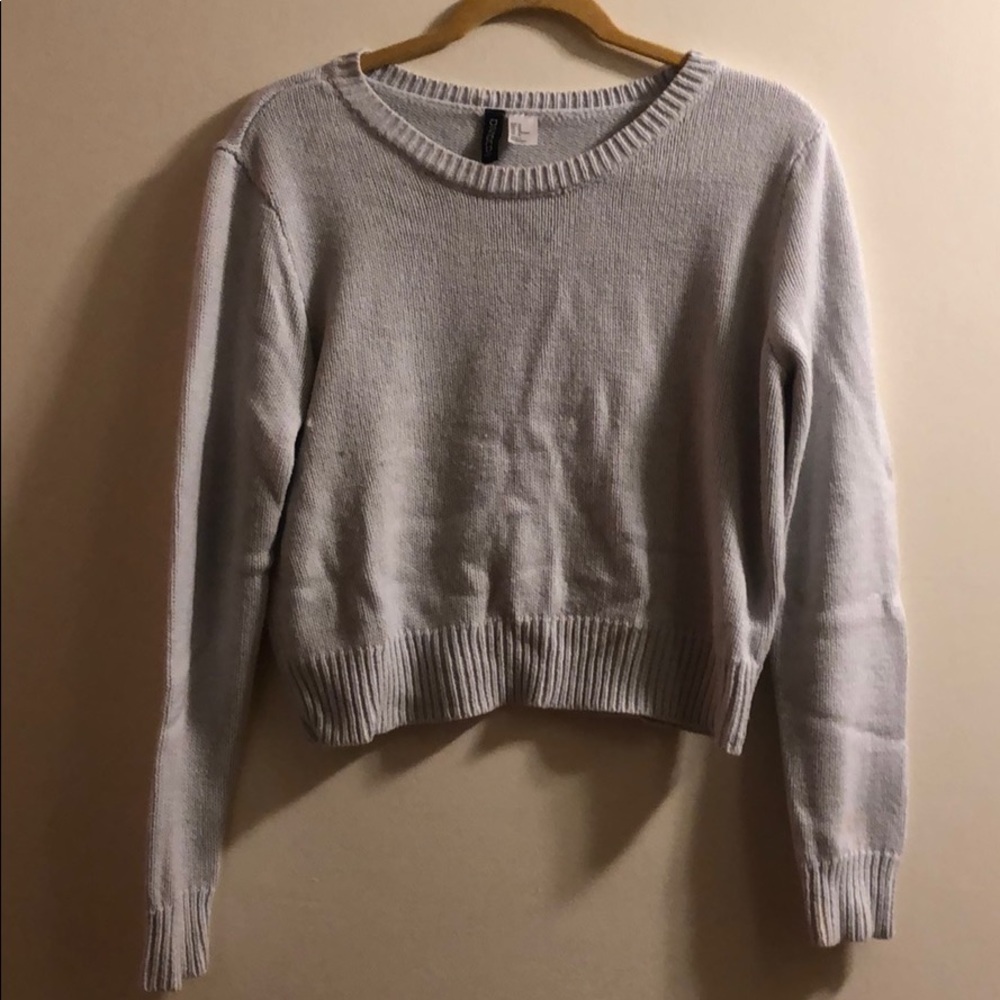 H&M Divided Cropped Sweater